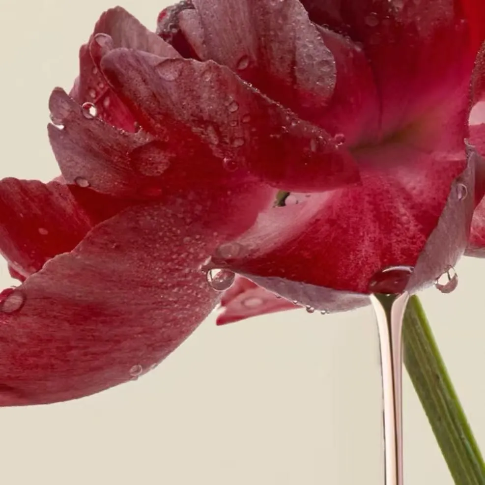 873ba46903485573e9b198685d4fc27d