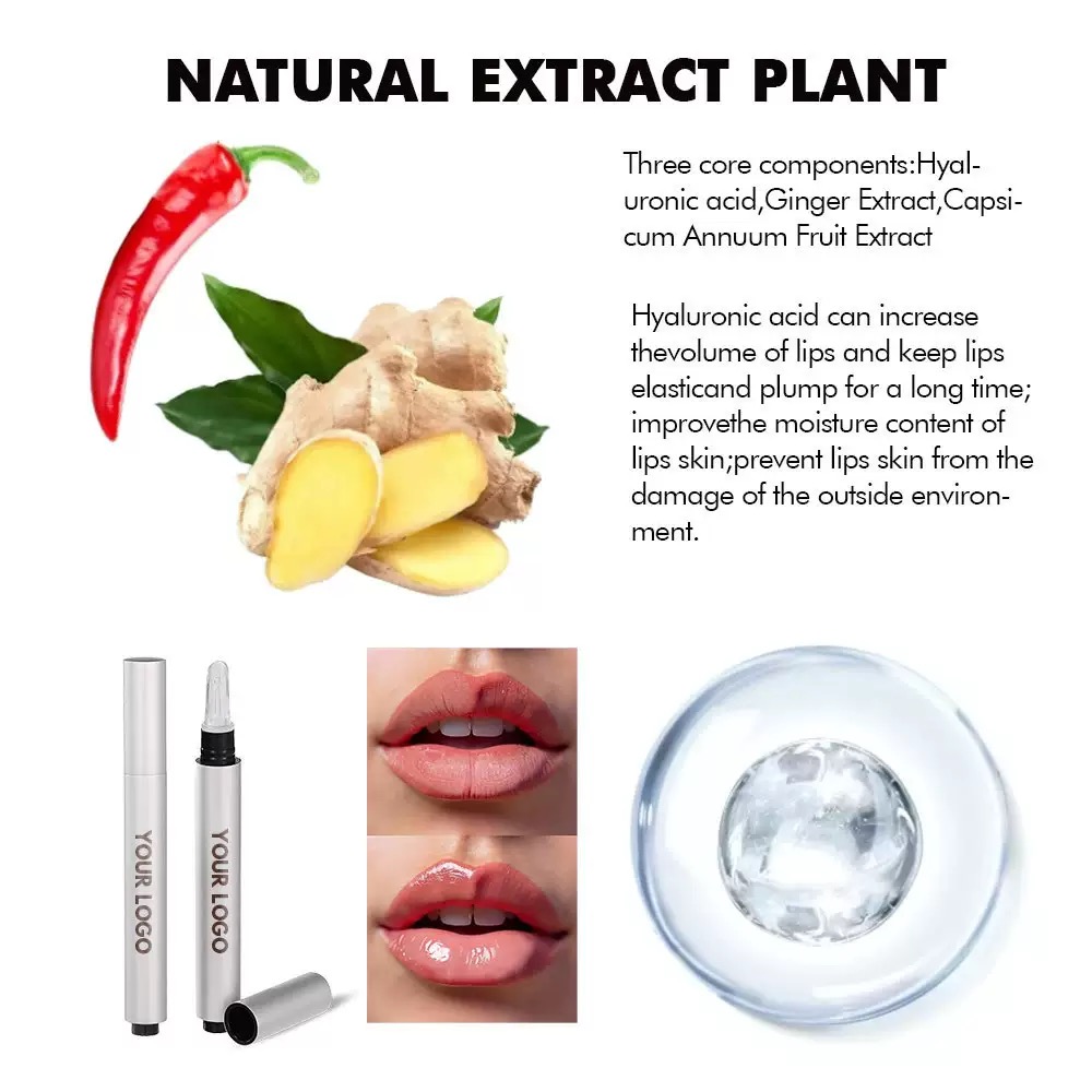 ec262c7692bfd422f0e3117d4a2a77e1